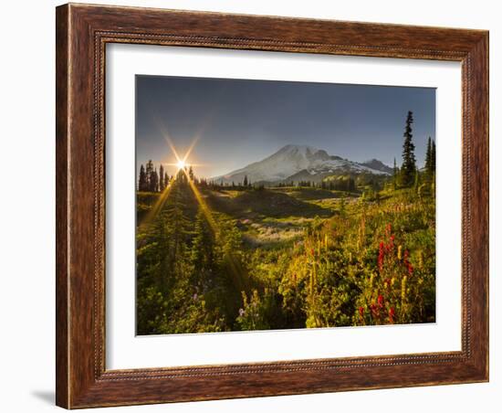 Starburst Setting Sun, Subalpine Wildflowers and Mt. Rainier at Mazama Ridge, Paradise Area-Gary Luhm-Framed Photographic Print
