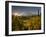 Starburst Setting Sun, Subalpine Wildflowers and Mt. Rainier at Mazama Ridge, Paradise Area-Gary Luhm-Framed Photographic Print