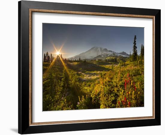 Starburst Setting Sun, Subalpine Wildflowers and Mt. Rainier at Mazama Ridge, Paradise Area-Gary Luhm-Framed Photographic Print