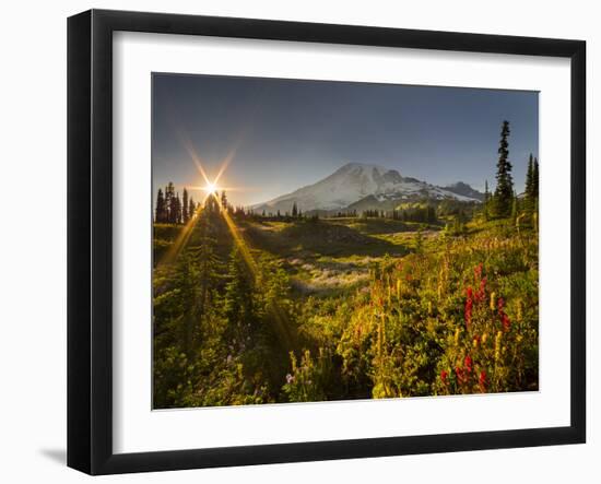 Starburst Setting Sun, Subalpine Wildflowers and Mt. Rainier at Mazama Ridge, Paradise Area-Gary Luhm-Framed Photographic Print