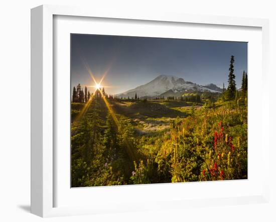 Starburst Setting Sun, Subalpine Wildflowers and Mt. Rainier at Mazama Ridge, Paradise Area-Gary Luhm-Framed Photographic Print