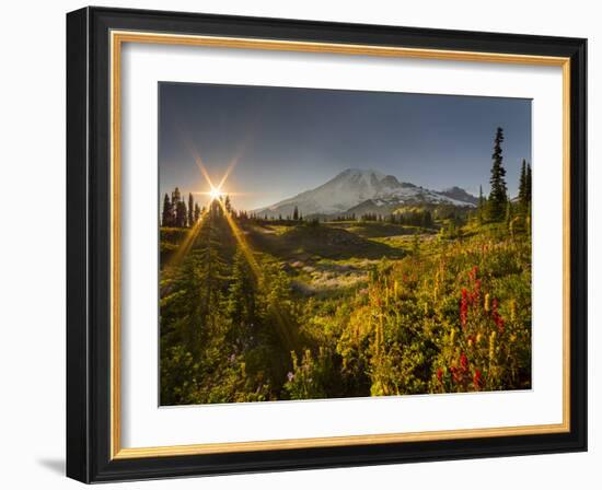 Starburst Setting Sun, Subalpine Wildflowers and Mt. Rainier at Mazama Ridge, Paradise Area-Gary Luhm-Framed Photographic Print