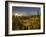 Starburst Setting Sun, Subalpine Wildflowers and Mt. Rainier at Mazama Ridge, Paradise Area-Gary Luhm-Framed Photographic Print