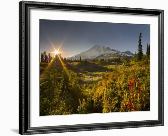 Starburst Setting Sun, Subalpine Wildflowers and Mt. Rainier at Mazama Ridge, Paradise Area-Gary Luhm-Framed Photographic Print