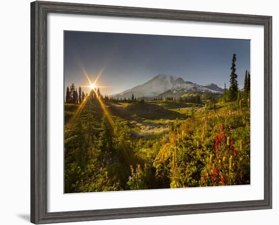 Starburst Setting Sun, Subalpine Wildflowers and Mt. Rainier at Mazama Ridge, Paradise Area-Gary Luhm-Framed Photographic Print