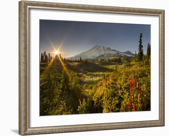 Starburst Setting Sun, Subalpine Wildflowers and Mt. Rainier at Mazama Ridge, Paradise Area-Gary Luhm-Framed Photographic Print