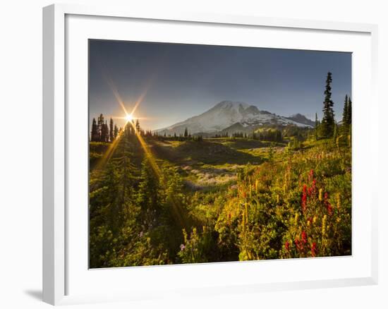 Starburst Setting Sun, Subalpine Wildflowers and Mt. Rainier at Mazama Ridge, Paradise Area-Gary Luhm-Framed Photographic Print