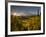 Starburst Setting Sun, Subalpine Wildflowers and Mt. Rainier at Mazama Ridge, Paradise Area-Gary Luhm-Framed Photographic Print