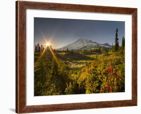 Starburst Setting Sun, Subalpine Wildflowers and Mt. Rainier at Mazama Ridge, Paradise Area-Gary Luhm-Framed Photographic Print