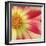 Starburst Square III-Dana Styber-Framed Photographic Print