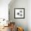 Starburst-Albert Koetsier-Framed Photographic Print displayed on a wall