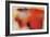 Starburst-Sydney Edmunds-Framed Giclee Print