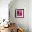 Starchill in Pink-Pascal Normand-Framed Art Print displayed on a wall