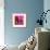 Starchill in Pink-Pascal Normand-Framed Art Print displayed on a wall