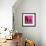 Starchill in Pink-Pascal Normand-Framed Art Print displayed on a wall
