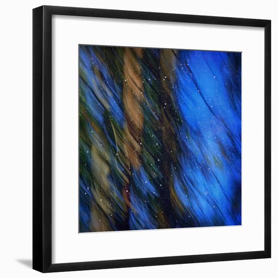 Stardust on Pines-Ursula Abresch-Framed Photographic Print