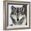 Stare Down-Lisa Dearing-Framed Photographic Print