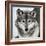 Stare Down-Lisa Dearing-Framed Photographic Print