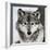 Stare Down-Lisa Dearing-Framed Photographic Print