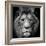 Stare Me Down #3-Christian Meermann-Framed Photographic Print