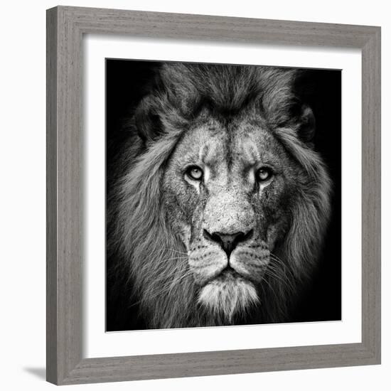 Stare Me Down #3-Christian Meermann-Framed Photographic Print