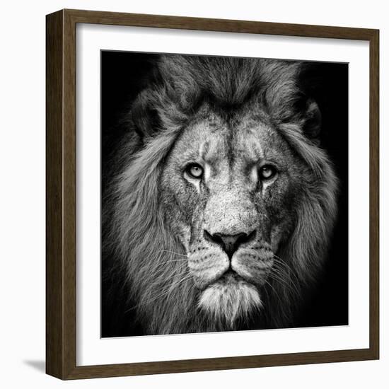 Stare Me Down #3-Christian Meermann-Framed Photographic Print