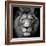 Stare Me Down #3-Christian Meermann-Framed Photographic Print