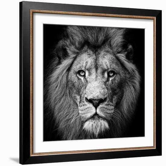 Stare Me Down #3-Christian Meermann-Framed Photographic Print