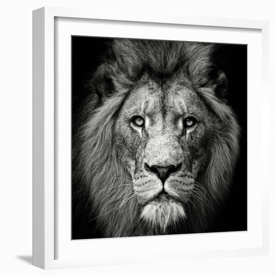 Stare Me Down #3-Christian Meermann-Framed Photographic Print