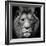 Stare Me Down #3-Christian Meermann-Framed Photographic Print