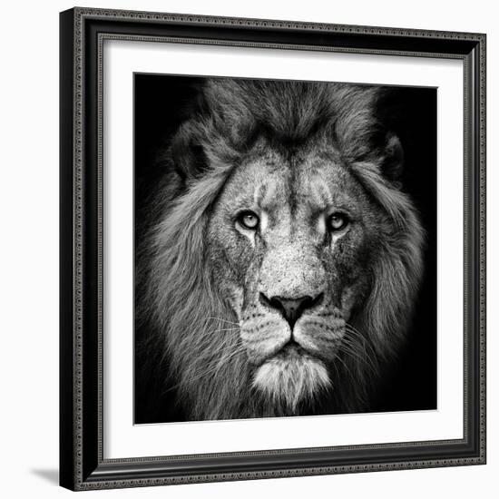 Stare Me Down #3-Christian Meermann-Framed Photographic Print