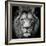 Stare Me Down #3-Christian Meermann-Framed Photographic Print