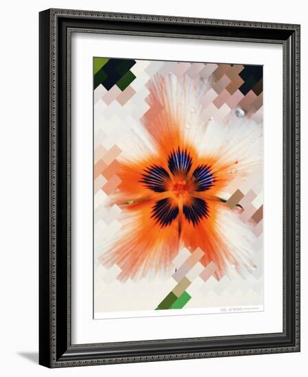 Starfire-Natasha Wescoat-Framed Giclee Print