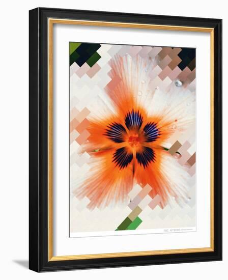 Starfire-Natasha Wescoat-Framed Giclee Print