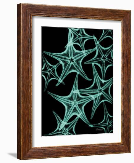 Starfish 1-Albert Koetsier-Framed Art Print