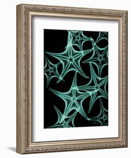 Starfish 1-Albert Koetsier-Framed Art Print