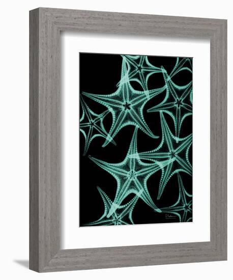 Starfish 1-Albert Koetsier-Framed Art Print