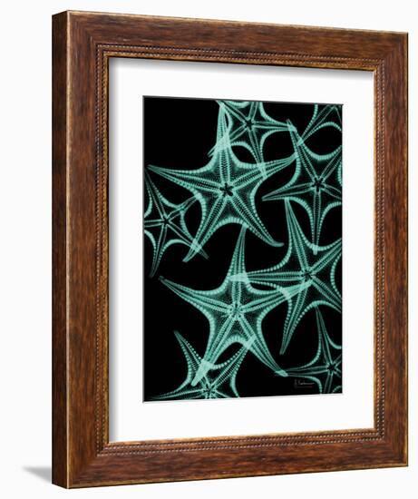 Starfish 1-Albert Koetsier-Framed Art Print