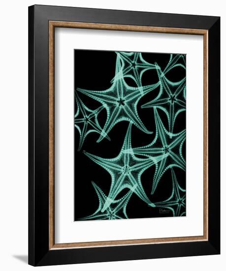 Starfish 1-Albert Koetsier-Framed Art Print