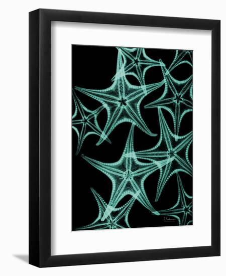 Starfish 1-Albert Koetsier-Framed Art Print