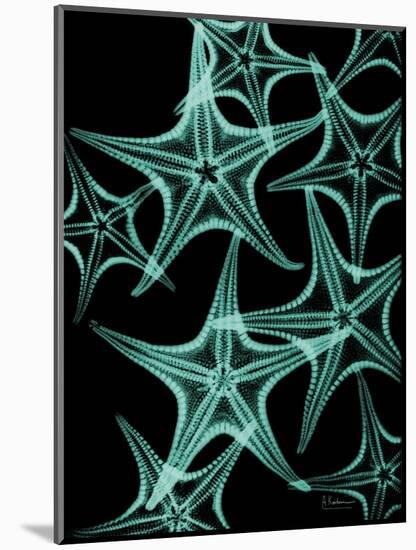 Starfish 1-Albert Koetsier-Mounted Premium Giclee Print