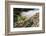 Starfish and anemones, Bamdoroshni Island off the coast of Sitka, Alaska-Mark A Johnson-Framed Photographic Print