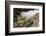 Starfish and anemones, Bamdoroshni Island off the coast of Sitka, Alaska-Mark A Johnson-Framed Photographic Print