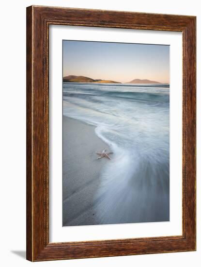 Starfish and Flowing Tide at Luskentyre Losgaintir Beach, Isle of Harris, Outer Hebrides, Scotland-Stewart Smith-Framed Photographic Print