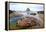 Starfish and Rock Formations Along Indian Beach, Oregon Coast-Craig Tuttle-Framed Premier Image Canvas