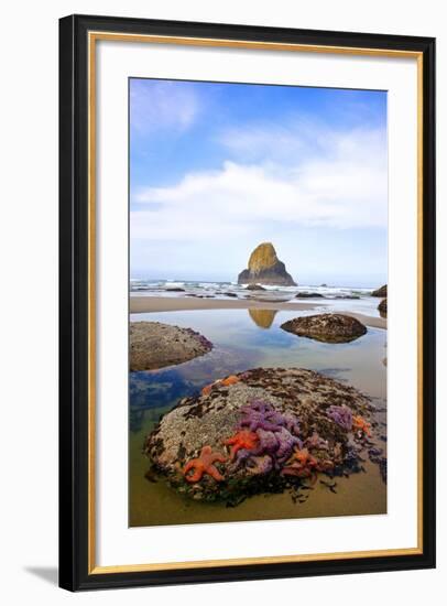 Starfish and Rock Formations along Indian Beach, Oregon Coast-Craig Tuttle-Framed Photographic Print