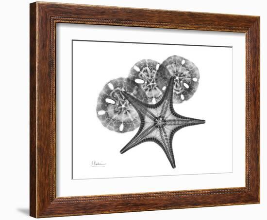 Starfish and Sand Dollar-Albert Koetsier-Framed Art Print