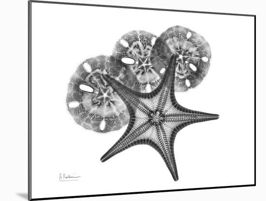 Starfish and Sand Dollar-Albert Koetsier-Mounted Art Print