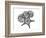 Starfish and Sand Dollar-Albert Koetsier-Framed Art Print