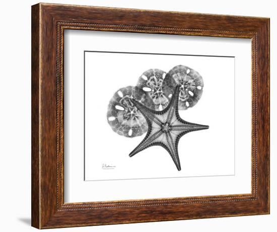 Starfish and Sand Dollar-Albert Koetsier-Framed Art Print